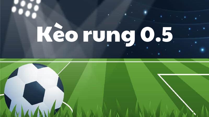 Kèo rung là gì? Cách chơi kèo rung cực hot đảm bảo hiệu quả 2 Kèo rung 0.5