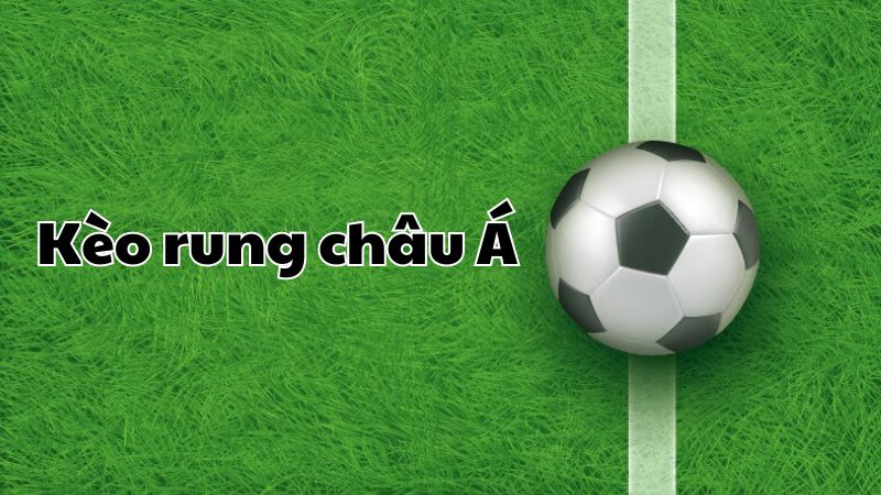 Kèo rung là gì? Cách chơi kèo rung cực hot đảm bảo hiệu quả 3 Kèo rung châu Á